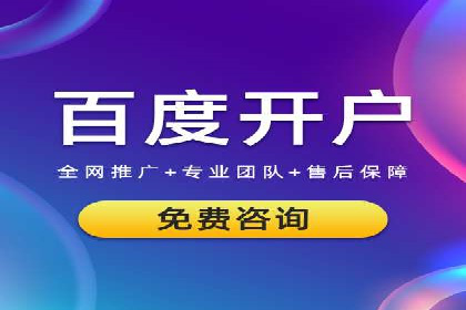 SEM代理助力品牌：案例解析，优化策略全揭秘